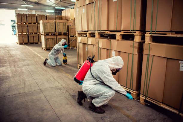 Best Pest Control Cost  in Hayti, PA