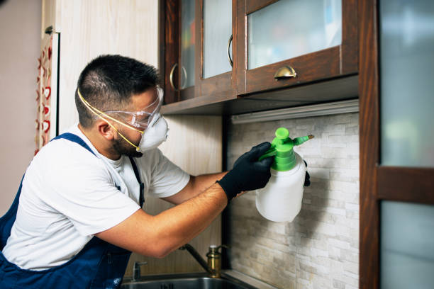 Best Bed Bug Extermination  in Hayti, PA