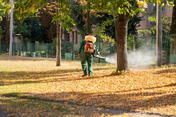 Pest Prevention Services in Hayti, PA