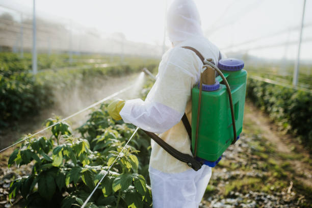 Pest Control Cost in Hayti, PA